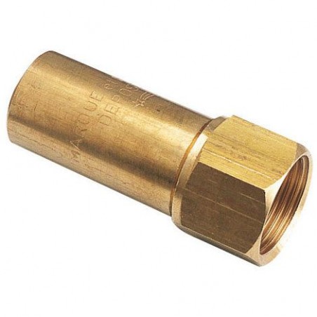 Anti bélier à ressort