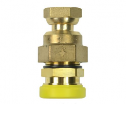 Extrémité femelle PLT20 JPG